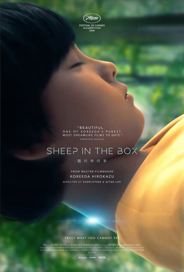 Sheep In The Box Poster