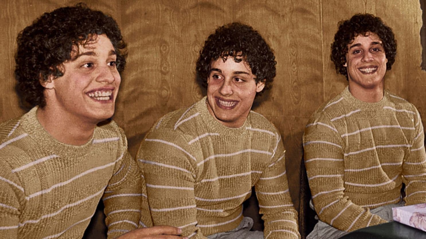 Poster Three Identical Strangers